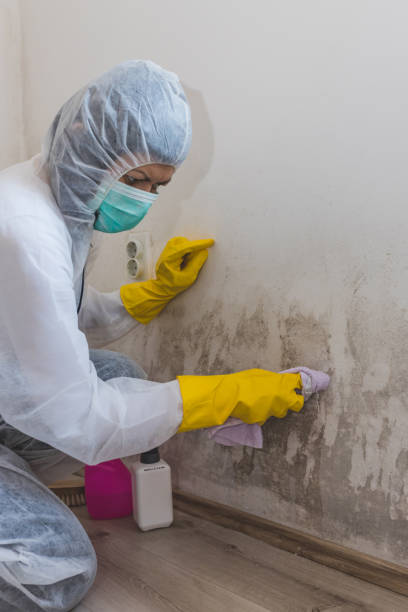 Best Crawl Space Mold Remediation  in Riverside, AL