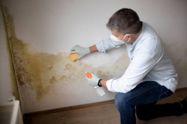 Best Dehumidification Services  in Riverside, AL