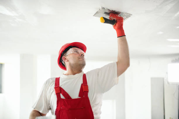 Mold Documentation for Insurance Claims in Riverside, AL
