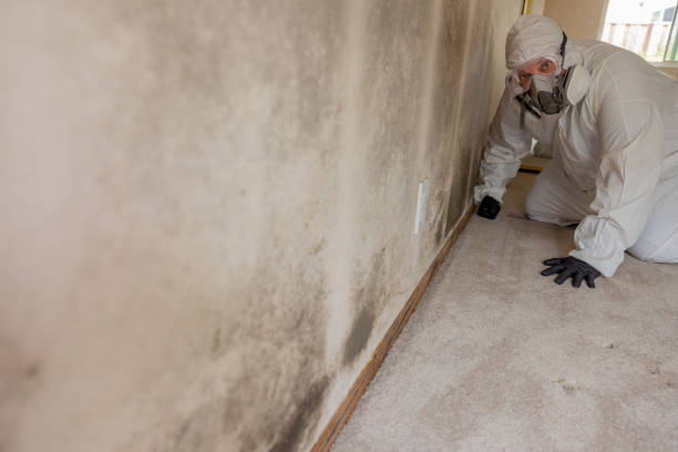Best Mold-Related Health Consultation  in Riverside, AL