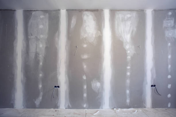 Environmental Consulting for Mold Prevention in Riverside, AL